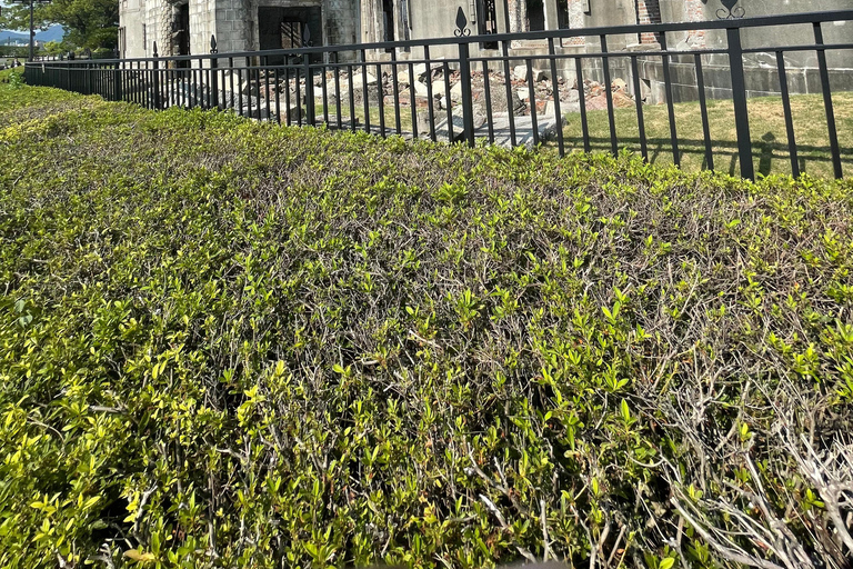 Hiroshima: tour privado personalizado en inglés con recogida en el hotel