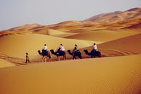Desde Merzouga, desierto durante la noche en la carpa con calefacción y el paseo en camello - Housity