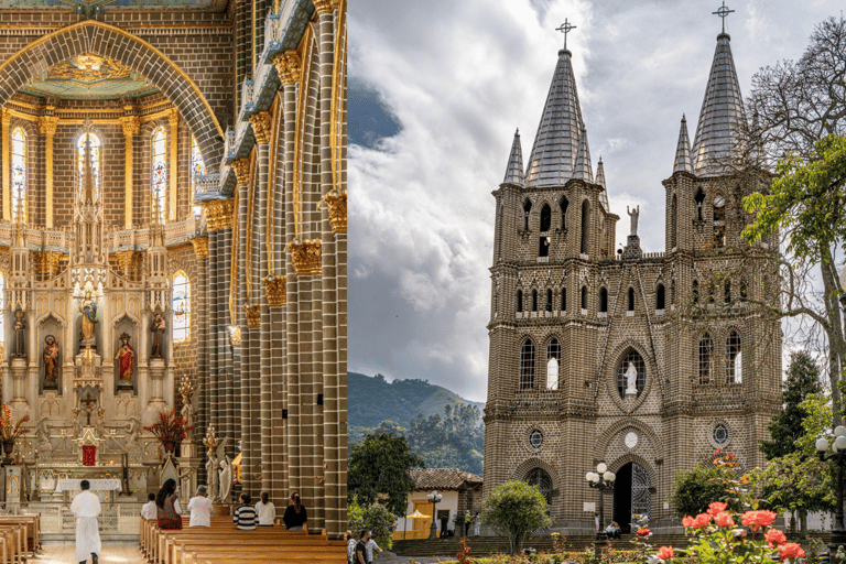 From Medellín: Honey Tour, Visit the Bees