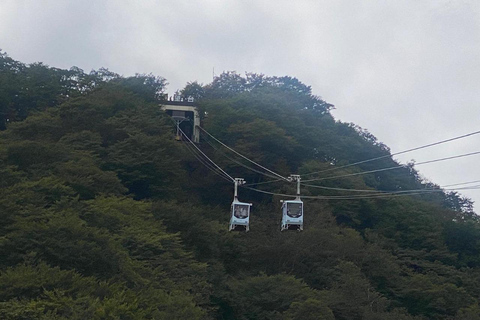 Z Tokio: Nikko całodniowa prywatna wycieczka krajoznawcza