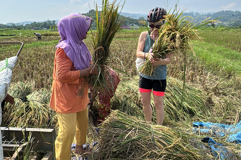 Yogyakarta: Village Cycling Tour with Local Snacks