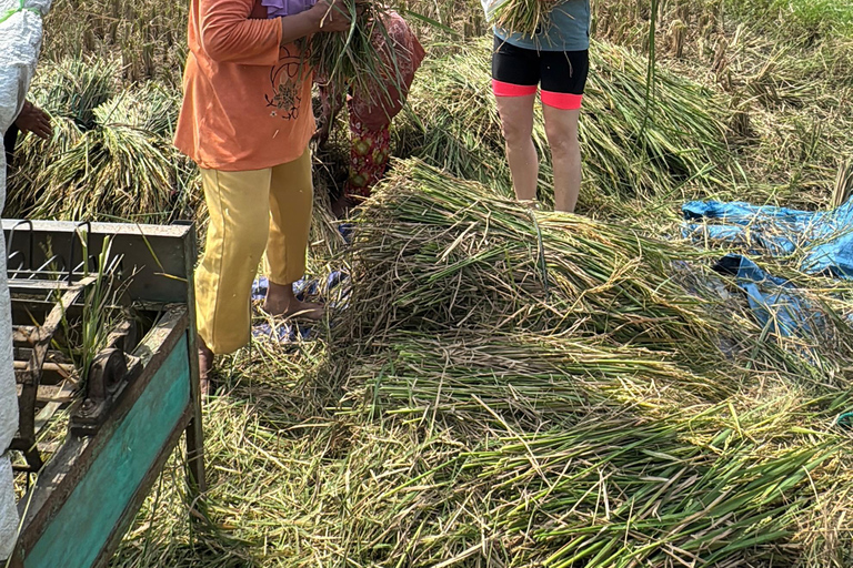 Yogyakarta: Village Cycling Tour with Local Snacks