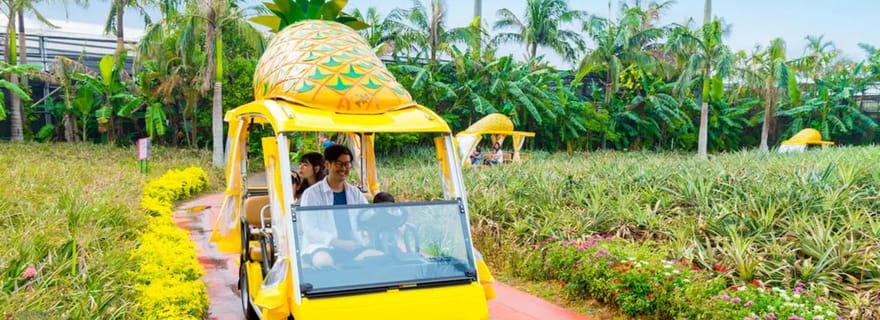 Parc de l'ananas de Nago : entrée avec voiture ananas