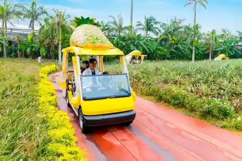 Nago Pineapple Park : Admission with Pineapple Car