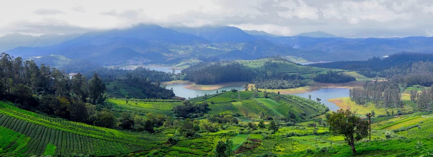 Coimbatore : Excursion d'une journée à Ooty en taxi privé