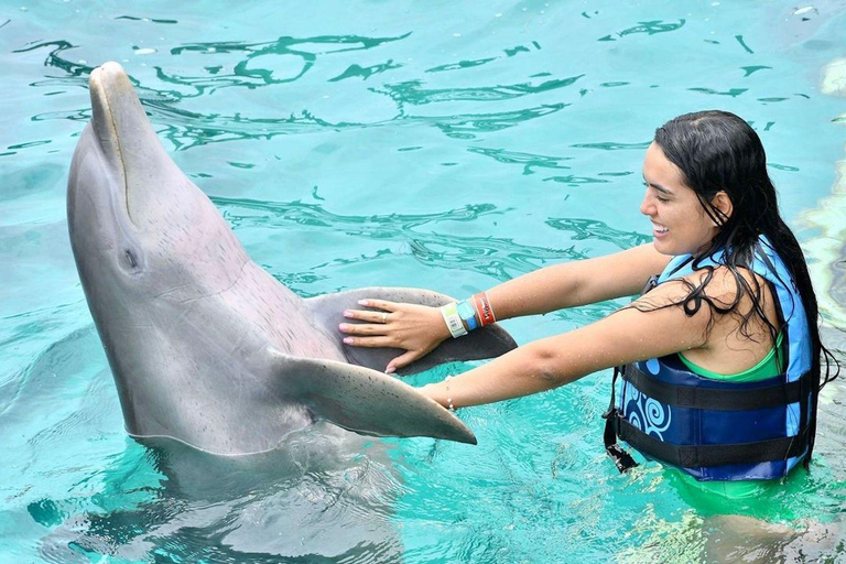 Isla Mujeres: Royal Garrafon VIP & Dolphin Swim