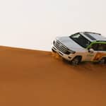 Dubai: safari sulle dune rosse, quad, giro in cammello, cena barbecue