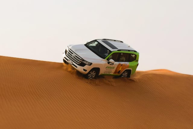 Dubai: Red Dune Safari, Quad Bike, Camel Ride, BBQ Dinner