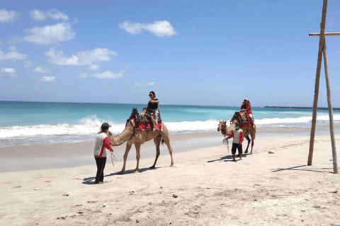 Bali : Balade à dos de chameau sur la plage de Kelan15 minutes de trajet