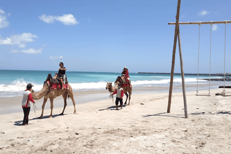 Bali : Balade à dos de chameau sur la plage de Kelan15 minutes de trajet