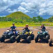Bohol Private Tour: Chocolate Hills, Tarsiers & Loboc River