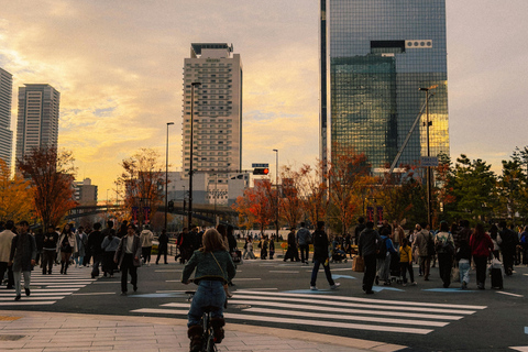 Osaka Sightseeing ,Hidden Gems with Luxury Vehicle &English