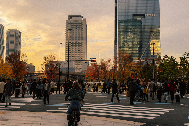 Osaka Sightseeing ,Hidden Gems with Luxury Vehicle &English