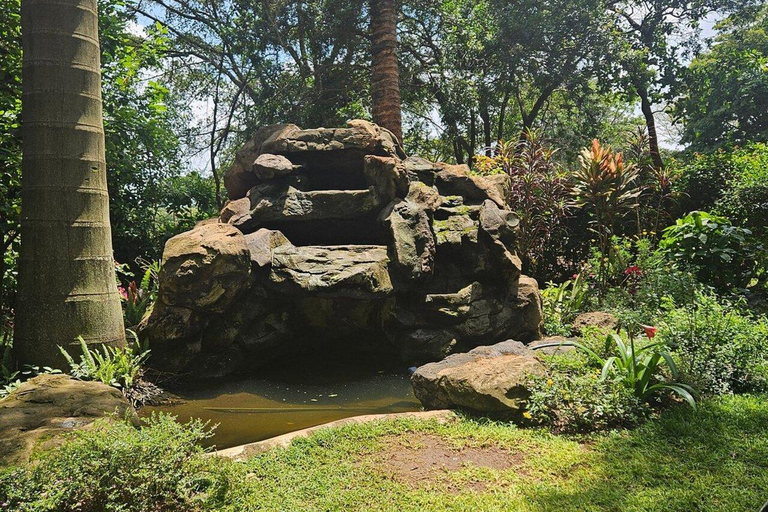 Nairobi:Fairview Coffee Farm Tour &Coffee Tasting Experience