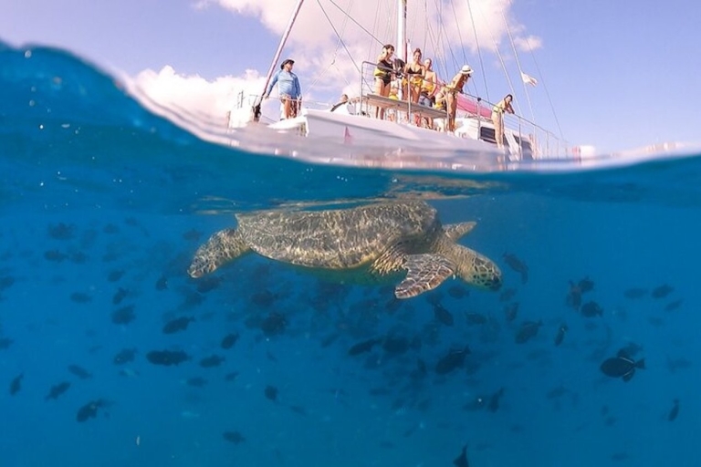 Oahu : Aventure de plongée avec masque et tuba pour les tortues de Waikiki