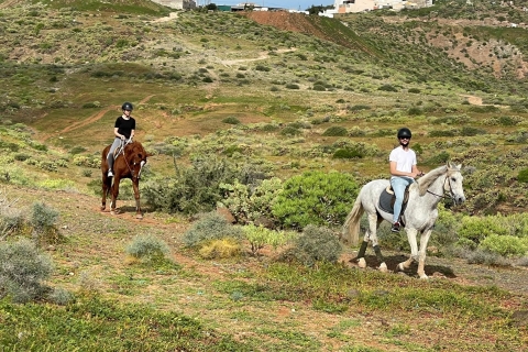 One hour horse riding tour in Gran Canaria
