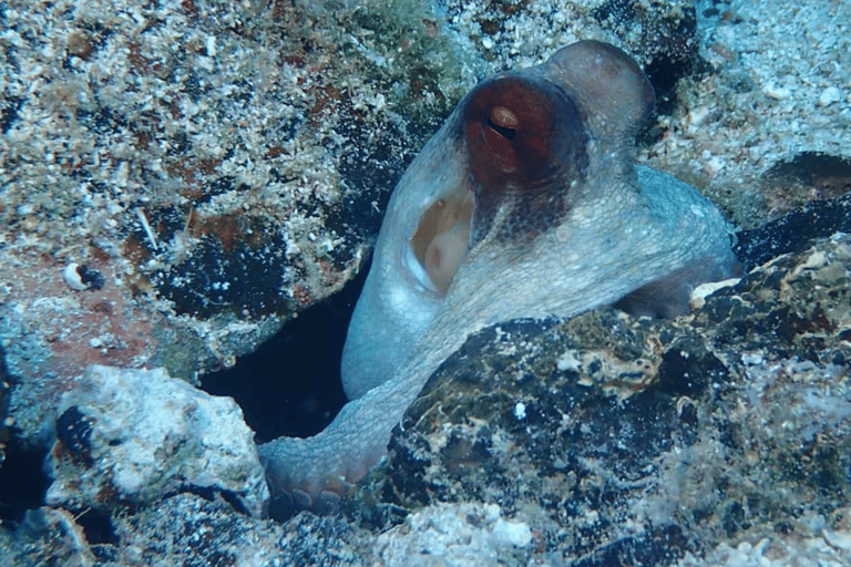 Lefkada to Lefkada 7 Day Scuba Diving Sailing Tour