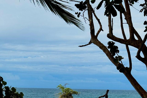 Gandoca-Manzanillo Refuge Day Trip