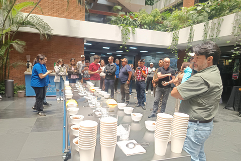 Guatemala City: Volcano-Grown Coffee Tasting Experience