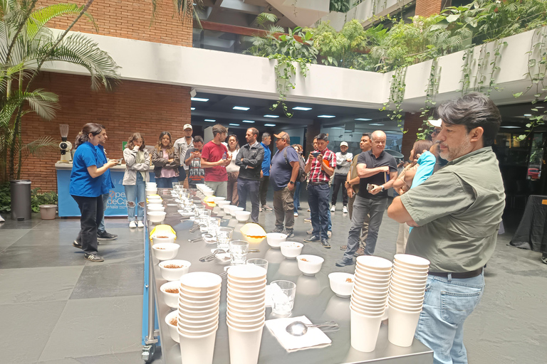 Guatemala City: Volcano-Grown Coffee Tasting Experience