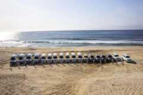 Los Cabos Airport: Transfer to Tourist Corridor Roundtrip public