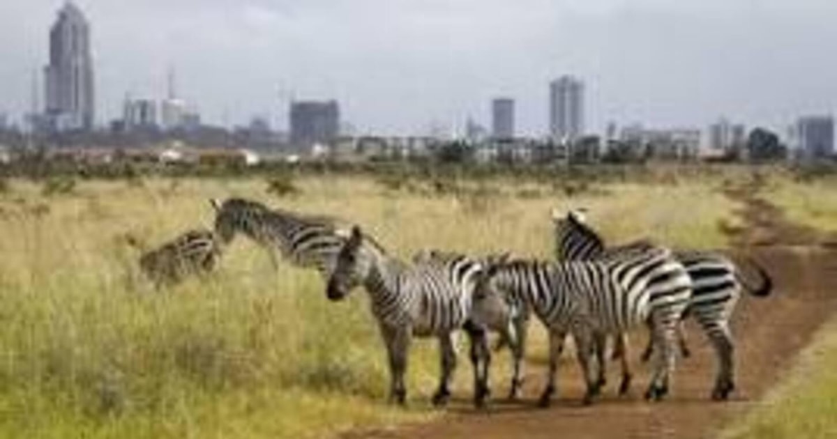 Nairobi Nacionalni Park Siroti te Za Slonove I Centar Za irafe nairobi-nacionalni-park-siroti-te-za-slonove-i-centar-za-irafe