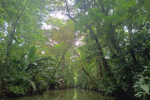 Un&#039;esperienza di 3 ore attraverso i canali del Parco Nazionale.