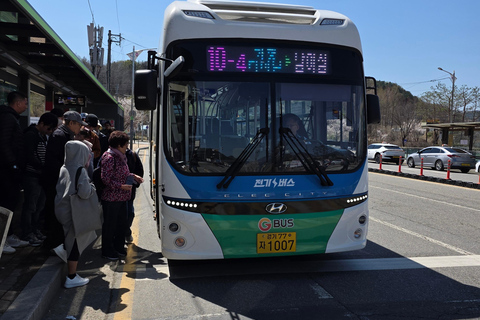 Seoul: Hallyu Nami Island Day Trip with romantic Train