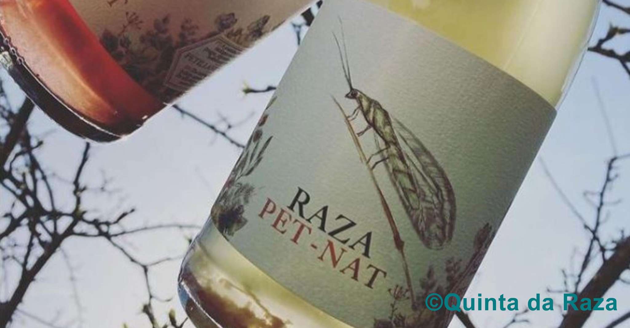 Vins naturels Quinta da Raza - Hizvo