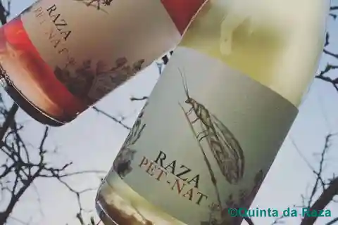 Vinhos Naturais Quinta da Raza