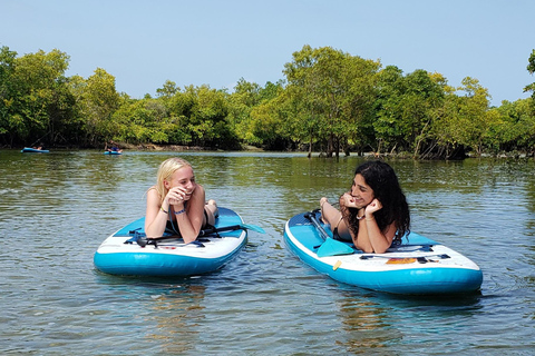 Zanzibar: Unik guidad mangrovetur med SUP eller kajak