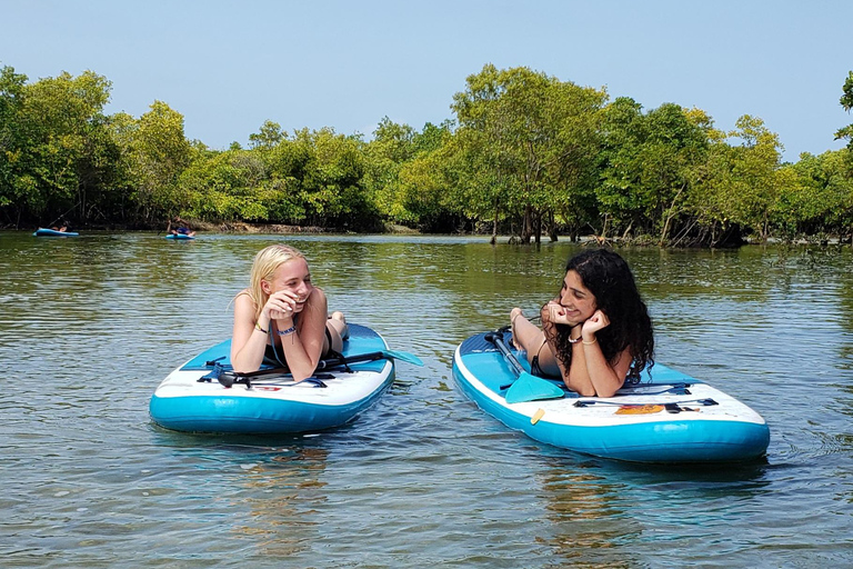Zanzibar: Unik guidad mangrovetur med SUP eller kajak
