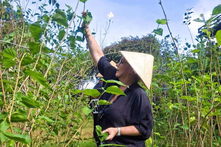 Discover Traditional Silk Process in Hoi An Silk Village