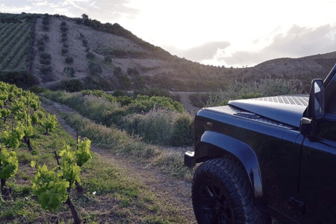 Safáris de luxo em jipe em Chania: Segredos da degustação de vinhos e azeite de olivajipe premium