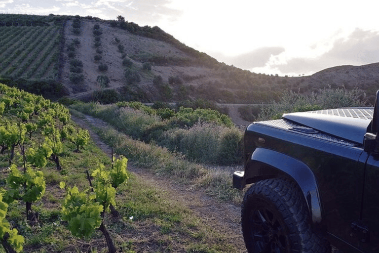 Safaris de lujo en jeep por Chania: Secretos de la cata de vino y aceite de olivaJeep Premium