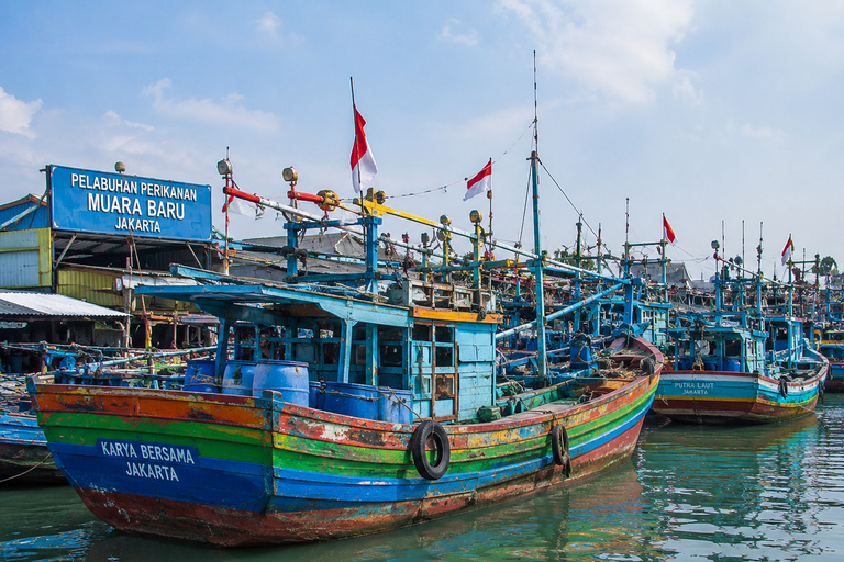 Jakarta Fish market & Mangrove Tour