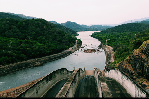 Scenic Highland Journey: Private Transfer from Kandy to Ella