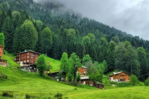 Ayder Plateau & Rize Day Tour: The Magic of the Black Sea, Fırtına Stream Day Trip to Ayder Plateau & Rize: The Magic of the Black Sea, Fırtına Stream