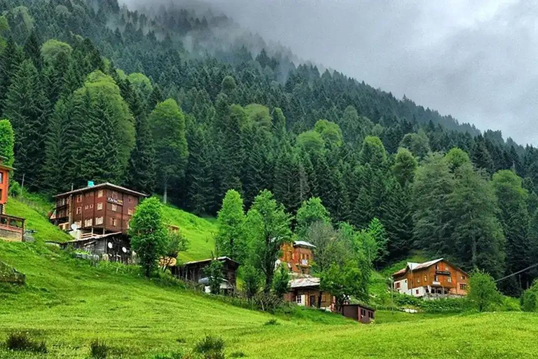 Ayder Plateau & Rize Day Tour: The Magic of the Black Sea, Fırtına Stream Day Trip to Ayder Plateau & Rize: The Magic of the Black Sea, Fırtına Stream