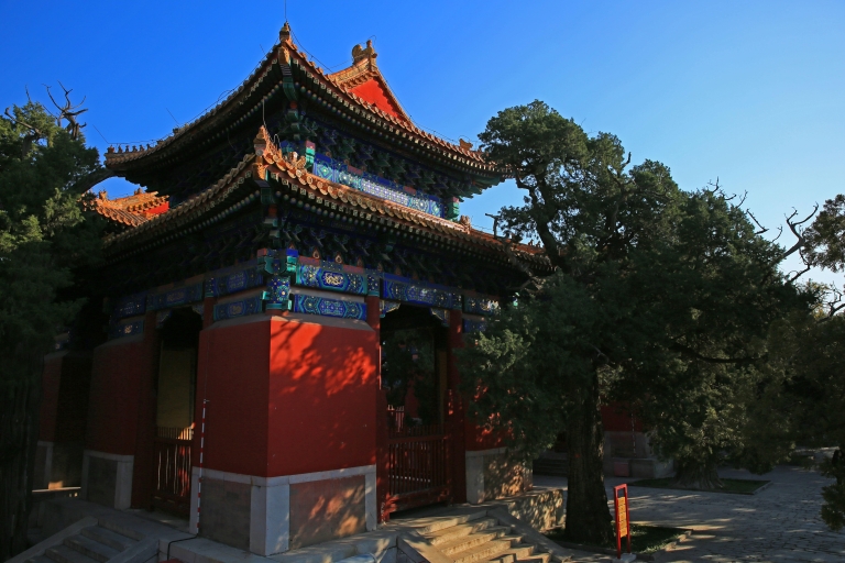 Beijing: Lama Tempel, Confucius Tempel en Guozijian MuseumPrivérondleiding inclusief transfer heen en terug