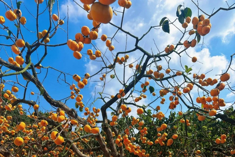 Guilin: Private Wen & Wu Temple Tour with Red Rock Village