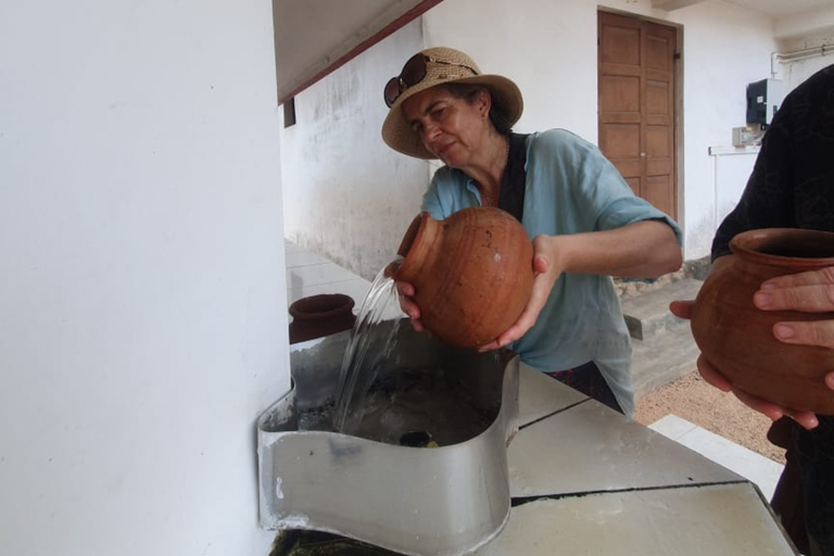 Negombo Private City Tour by Bicycle with Fruit Tasting Negombo Private City Tour by Bicycle with Fruit Tasting