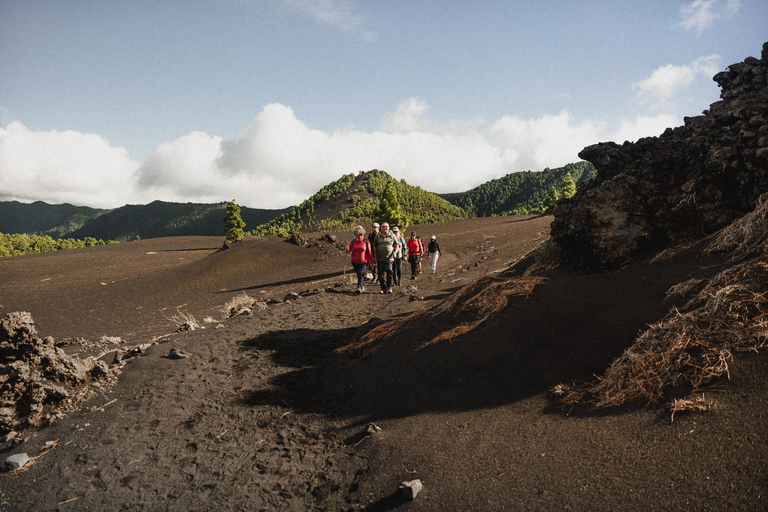 Tajogaite Volcano, the Essential Route: 3-Mile (5-Kilometer) Short Version