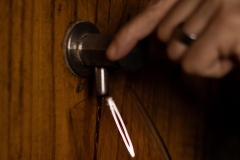 Douro Valley: A Sensory Experience in the Douro: Wines, Olive Oil, and History Douro Valley: Sensory Experience in the Douro: Wines, Olive Oil, and History