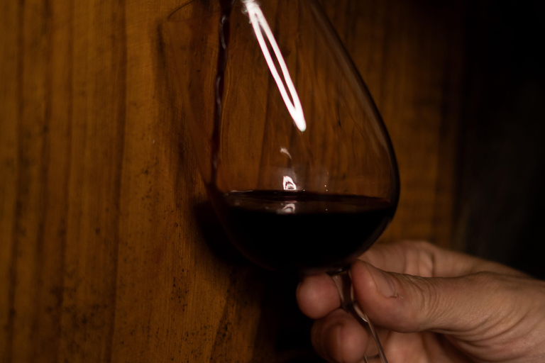 Douro Valley: A Sensory Experience in the Douro: Wines, Olive Oil, and History Douro Valley: Sensory Experience in the Douro: Wines, Olive Oil, and History