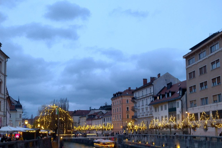 Ljubljana: Private Guided City Tour
