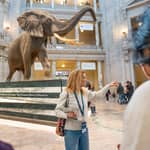 Washington: tour dei 3 musei principali dello Smithsonian con ingresso al National Air and Space Museum incluso