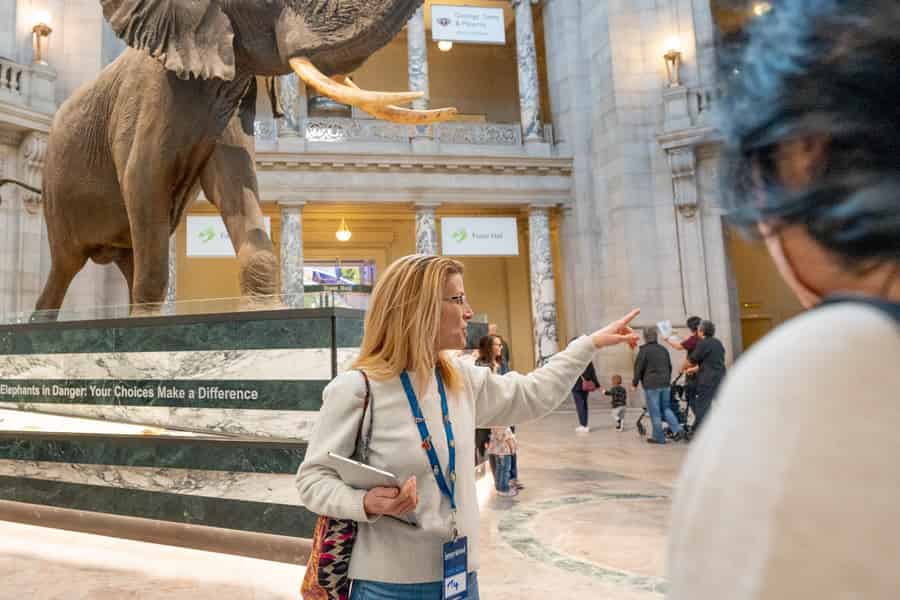 DC: Smithsonian Highlights Rundgang mit Luft- und Raumfahrt. Foto: GetYourGuide