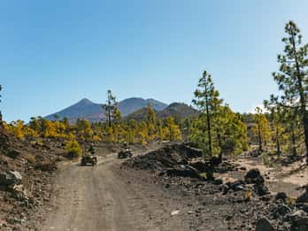 Von Costa Adeje aus: Berg Teide Wald Off-Road Quad Bike Tour