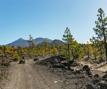 From Costa Adeje: Mount Teide Forest Off-Road Quad Bike Tour